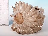 Review SGP  / Porcelain Spikey Hedge Hog Planter 15cm (630327) 2/Set