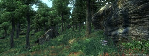 Elder Scrolls 4: Oblivion Collector's Edition (DVD-ROM) image