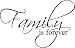 Family Is Forever vinyl lettering wall art saying home decor
