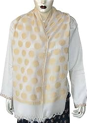 Designer Scarf Chiffon Silk Summer Accessory 22 x 72 inches (srfch005)
