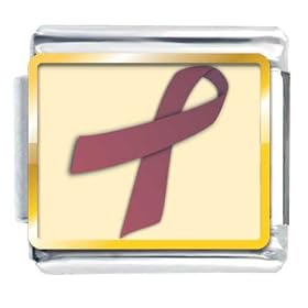 Cranberry Ribbon Awareness Italian Charms Bracelet Link