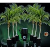 C.A.P. Monster 6 Grow Pot Complete Hydroponic System w/55 Gallon Reservoir (5 Gallon Pots)
