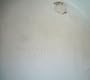 The Beatles (The White Album)