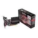 1GB Video Card