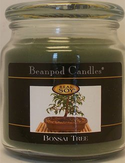 Bonsai Tree Beanpod Candles