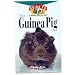 Guide to Owning a Guinea Pig