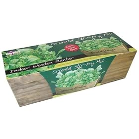 Taylors Bulbs Stir-Fry Growing Kit