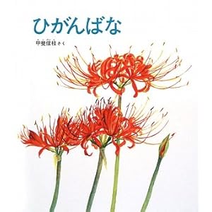 ひがんばな (かがくのとも傑作集 28)