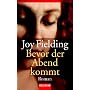 Bevor der Abend kommt: Roman