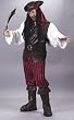 High Seas Male Pirate Adult Costume One Size