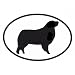 Australian Shepherd Sticker (Black/White, 5in x 3.5in)