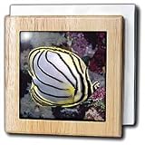 Tropical Fish - Butterfly Fish - Tile Napkin Holders