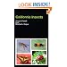 California Insects (California Natural History Guides)