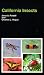 California Insects (California Natural History Guides) by Jerry A. Powell