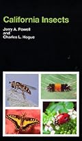 California Insects (California Natural History Guides)