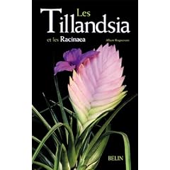Les Tillandsias