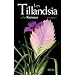 Les Tillandsias