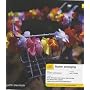 Teach Yourself Flower Arranging (TY Arts & Crafts)