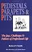 Book Pedestals Parapets & Pits: The Joys, Challenges & Failures of Professional Life