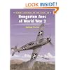 Hungarian Aces of World War 2