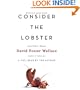 Consider the Lobster: And Other Essays