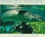 Monk Seal Hideaway