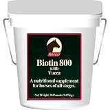 BIOTIN 800 POWDER 20LB D/S