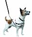 Halti Dog Harness - Multi-Functional! - No Pull Plus Regular Harness, Small