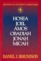 Abingdon Old Testament Commentary - Hosea, Joel, Amos, Obadiah, Jonah, Micah: Minor Prophets (Abingdon Old Testament Commentaries)