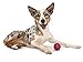 West Paw Zogoflex Air Boz Dog Toy – Floatable Pet Ball for Dogs, Fetch, Play, Chewing – Non-Toxic, Recyclable, Latex-Free Canine Toys – Durable Exterior Texture, Bouncy Squishy Ball, Small, Dandelion