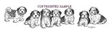 Shih Tzu - Puppies in a Row by Cindy Farmer