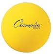 Champion Sports Uncoated Regular Density Foam Ball (8.5-Inch)