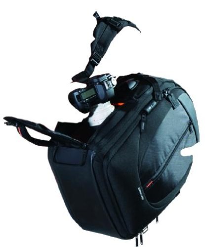 Imagen 7 de Vanguard UP-RISE 34