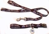 NEW! Medium Colorado Rockies Collar, ID Tag & 6ft Leash