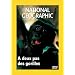 National Geographic : A deux pas des gorilles