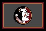 Florida State Seminoles ( University Of ) NCAA 3x5 Area Rug