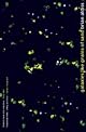 Galaxies Like Grains Of Sand