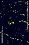 Galaxies Like Grains Of Sand