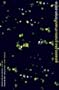 Galaxies Like Grains Of Sand
