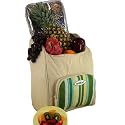 Large Cool Bag Holds 25Ltr, cream with green