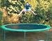 10ft Circular family Trampoline - Plum Products