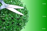 Best Buy 'Landscaping' Wall Decal - 48
