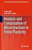 Analysis and computation of microstructure in finite plasticity