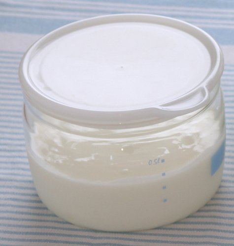 Cover image : iwaki パイレックス ヨーグルト保存容器 550ml 12cm 7001Y-WN