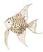 Toys : Angel Fish - Woodcraft Construction Kit