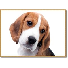 Mauspad Beaglewelpe