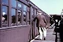 Third Avenue El: A Train Ride on the old New York City Third Avenue Line (1950s) [DVD]
