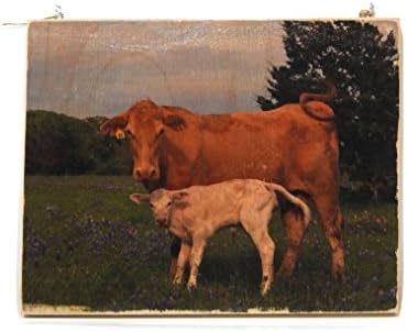 Momma Cow, Photograph Wood Transfer Art, Wood Art Block