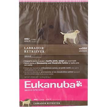Eukanuba Labrador Retriever Adult Dog Food