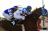 Secretariat (Two-Disc Blu-ray/DVD Combo)